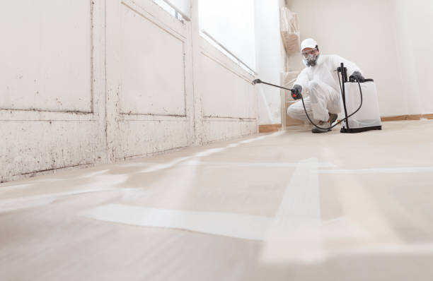 24/7 Emergency Mold Cleanup experts in Petersburg, VA