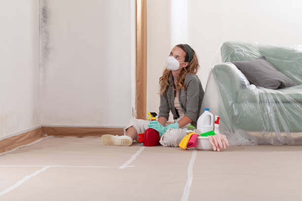 Reliable Mold Cleanup contractor in Petersburg, VA by Cheap Mold Removal